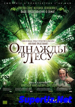 Однажды в лесу (2013...