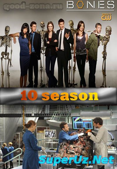 Кости 10 сезон 7,8,9 серия