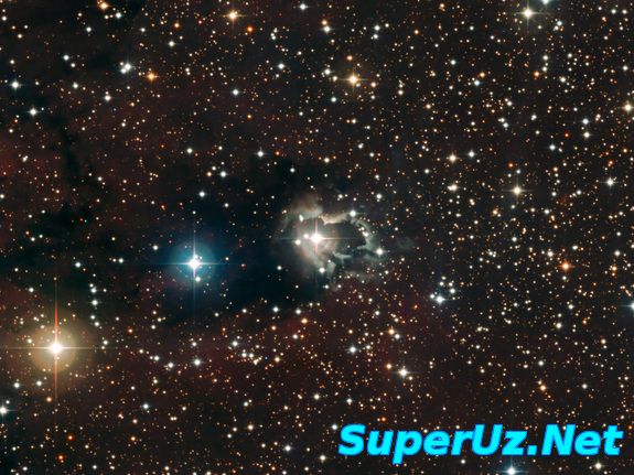 Barcha Uzbekiston yulduzlari yigilishti