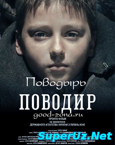 Поводырь (2014)