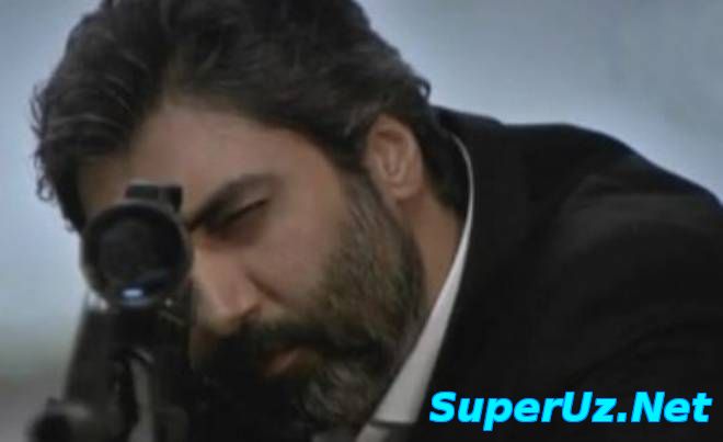 Kurtlar Vadisi Pusu 242