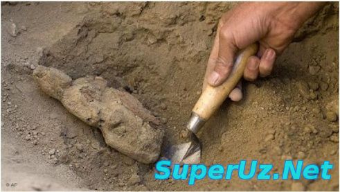 Хитой шимоли-ғарбида 3 минг йиллик арава топилди