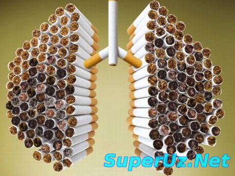 Қутқаринг ўпкам қарияпти...ёхуд тамаки қарамлигидан холос бўлиш...