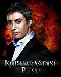 Kurtlar vadisi 249 bolum