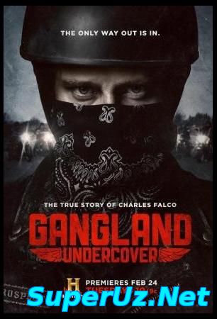 Под прикрытием