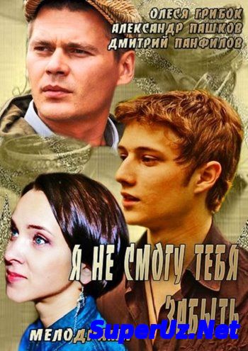 Я не смогу тебя забыть (2014)