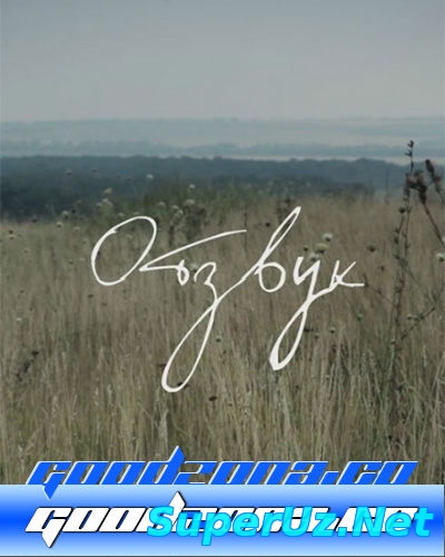 Отзвук (2015)