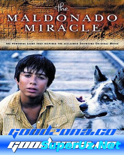 Чудо Мальдонадо