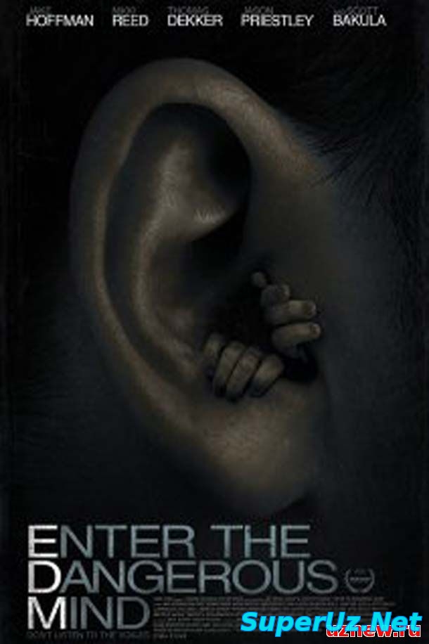 Проникновение в опасный разум (2013) смотреть онлайн