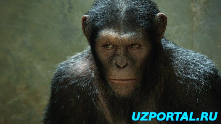 ВОССТАНИЕ ПЛАНЕТЫ ОБЕЗЬЯН