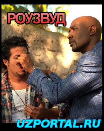 Роузвуд / Rosewood 1 2 3 4 5 6 7 8 9 10серия смотреть онлайн