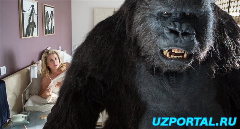 НОВЕЙШИЙ ЗАВЕТ / LE TOUT NOUVEAU TESTAMENT (2015) СМОТРЕТЬ ОНЛАЙН